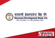 narayani development bank
