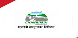 chhyangdi-hydropower